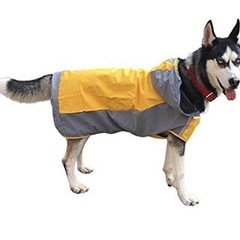 犬用　レインコート　の画像