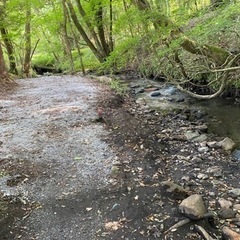 ソログルキャンメンバー募集🏕️