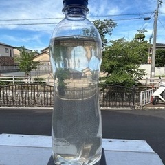 メダカの針子、稚魚の餌
