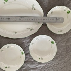 Adam&Eve ソフィアパーティーセット　新品未使用の画像