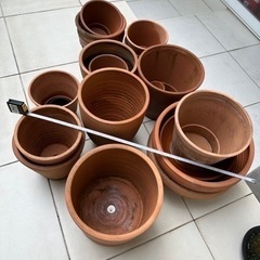 テラコッタ　植木鉢　
イタリア製 
