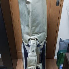 9.5型のナイキキャディバッグです。