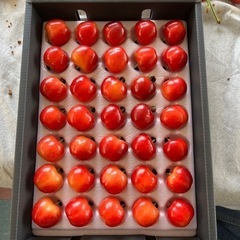 (1箱限定)山形の新品種🍒山形紅王、贈答品