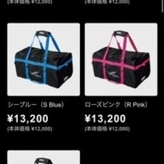 [値下げ]スキューバ
ダイビングGULLメッシュバックの画像