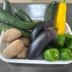 夏野菜ジャガイモセット