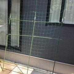 グリーンカーテン アーチ型2つの画像
