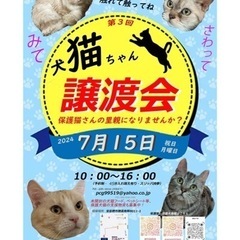 ふれあい型の第3回譲渡会を開催します！！