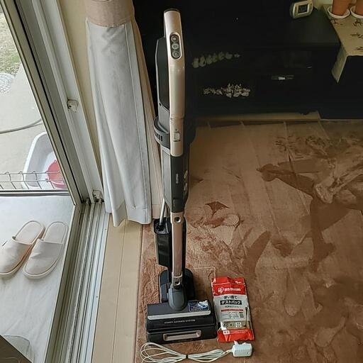 家電 生活家電 掃除機