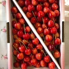 さくらんぼ　ナポレオン　1kg  