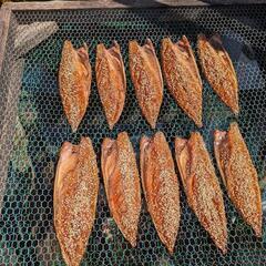 天日干　昔ながらの手造りひもの - グルメ