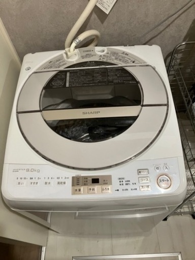 家電 生活家電 洗濯機