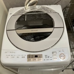 家電 生活家電 洗濯機