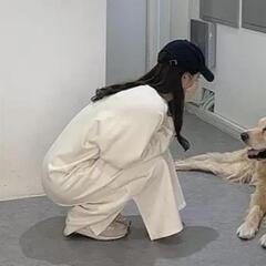 なんかなんもかもいやになった日