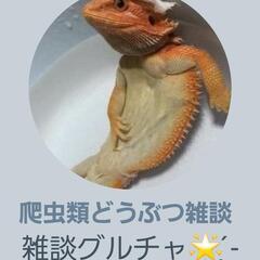 全国爬虫類どうぶつ雑談グル✩.