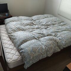【商談中】羽毛布団 ダブル マザーグース ダウン95％ 2層キル...