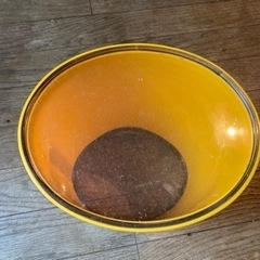 箱メガネの画像