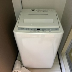 家電 生活家電 洗濯機