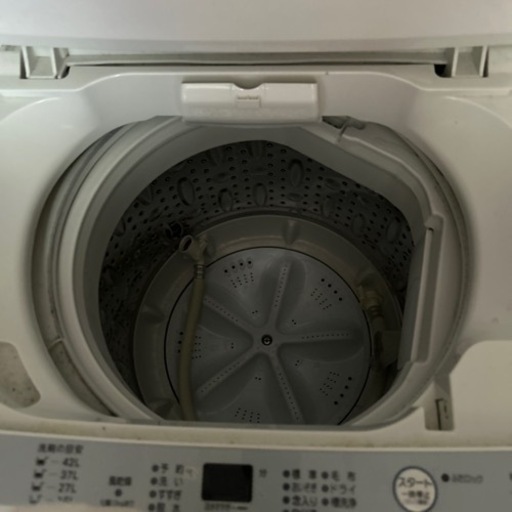家電 生活家電 洗濯機