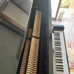 決定しましたの画像