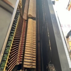 決定しましたの画像