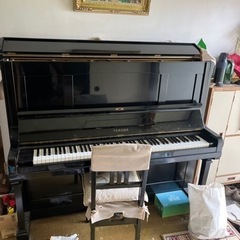 決定しました
