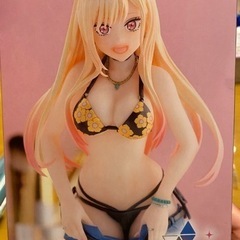 その着せ替え人形は恋をする