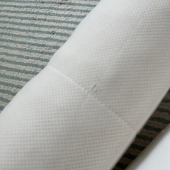 【引き取り限定】ロフテーボディピローいびきの画像