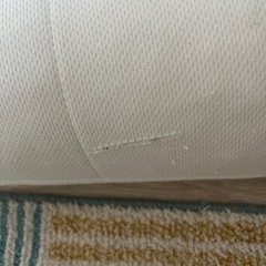 【引き取り限定】ロフテーボディピローいびきの画像