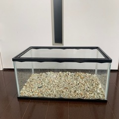 小さい　水槽の画像
