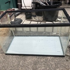 今週限定値下げ中
‼️60レギュラー水槽