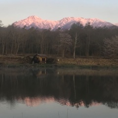 山登れませんが山仲間。