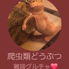 全国爬虫類どうぶつ雑談グル⸜(*˙꒳˙*)⸝
