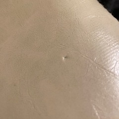 家具 椅子 座椅子の画像