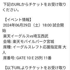6/29 楽天 対 西武戦 応援席チケット1枚