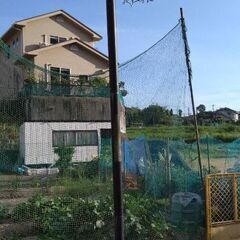 バスケットゴール