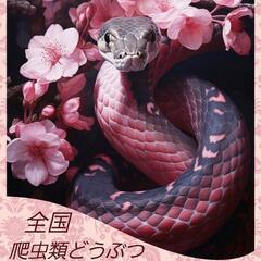 全国爬虫類どうぶつ雑談グル🍀