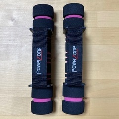 ダンベル PowerZone ソフトグリップ 0.45kg×2個 黒