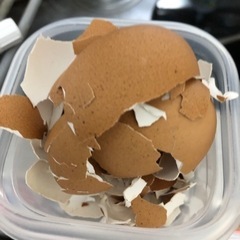 卵の殻譲ってください