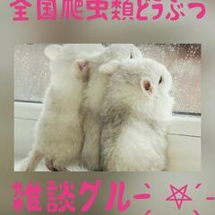 全国爬虫類どうぶつ雑談グル(˙ᗜ˙ )✨