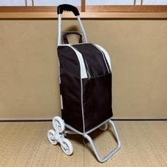 【ほぼ未使用】ショッピングカート(バッグ内保冷加工)