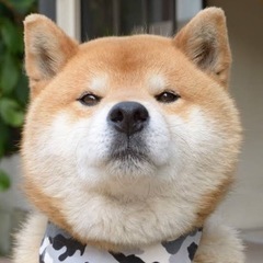 【メンバー募集】声の活動しませんか！？