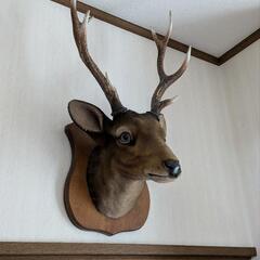 2点セット　鹿のオブジェ　水牛の角　鹿の頭　鹿　オブジェ　壁掛け...