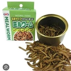 食品
