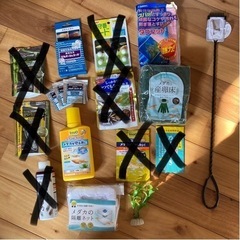 メダカ　まとめ売り②