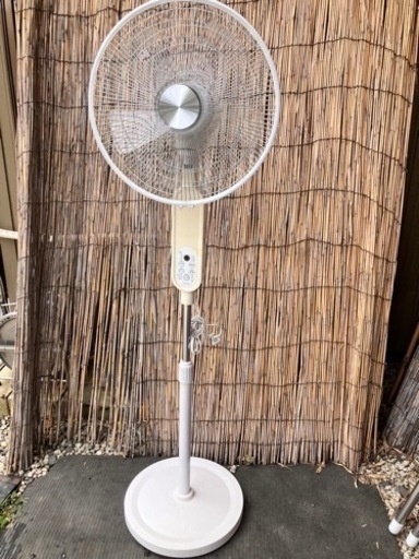 リビング扇風機
