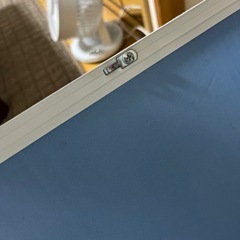 恐竜　おもちゃ　7月8日までポスター　DVD 図鑑　額付きの画像