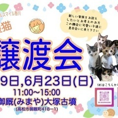 6/23(日) 保護猫の譲渡会＠アニマルスマイル香川