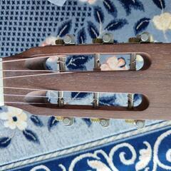 アコースティックギターの画像