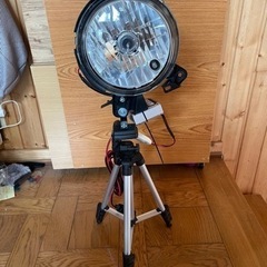 ライトトラップの画像