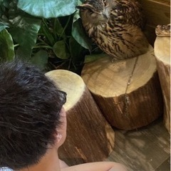 ダーツ、ビリヤード、カラオケ